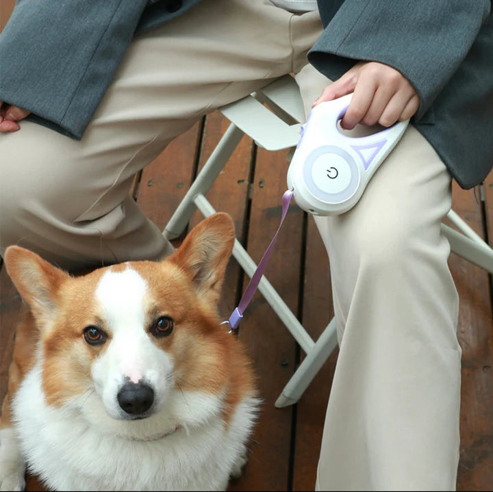 Automatic Retractable Dog Leash and Collar
